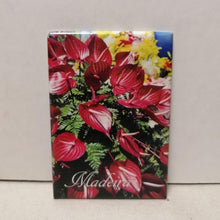 Carregar imagem no visualizador da galeria, Íman Flores da Madeira: 1