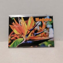 Carregar imagem no visualizador da galeria, Íman Flores da Madeira: 13