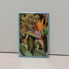 Carregar imagem no visualizador da galeria, Íman Flores da Madeira: 11