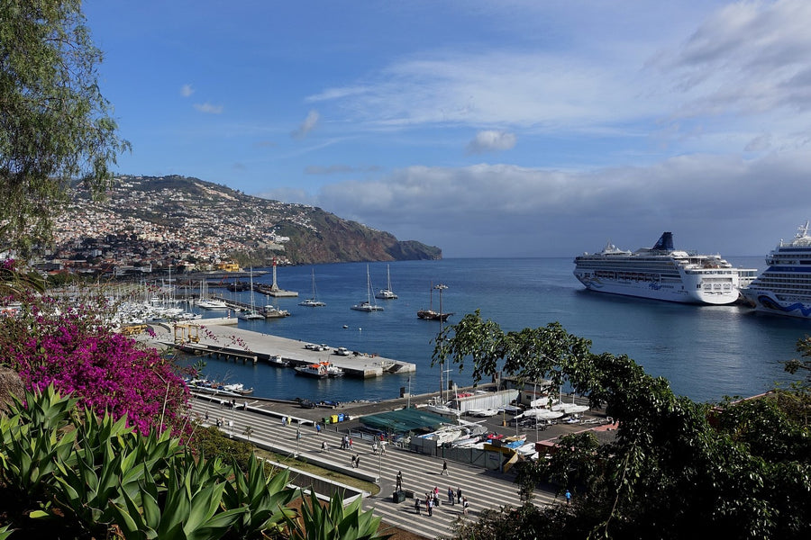 O que fazer em 1 dia na cidade do Funchal, Madeira