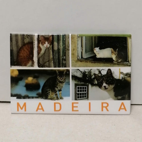 Íman Madeira Animais: Gatos