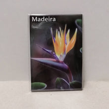 Carregar imagem no visualizador da galeria, Íman Flores da Madeira: 14
